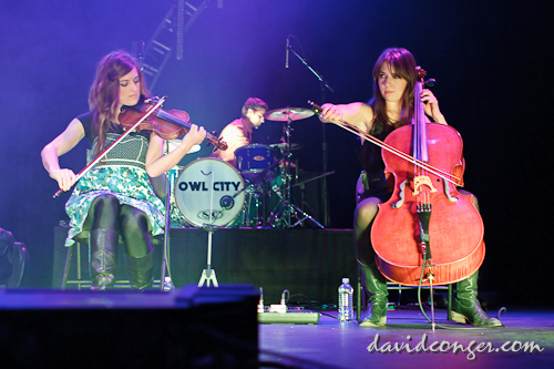 Owl City