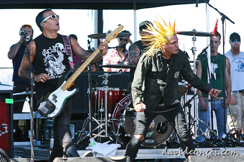 The Casualties