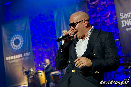 Pitbull