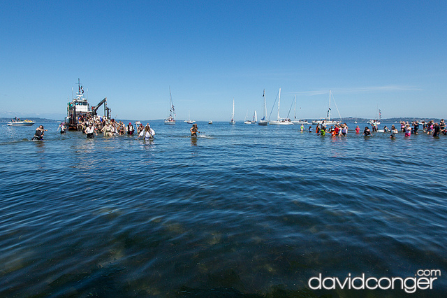Seafair Pirates