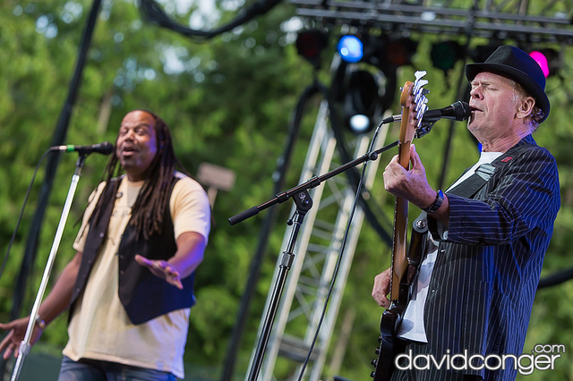 Average White Band