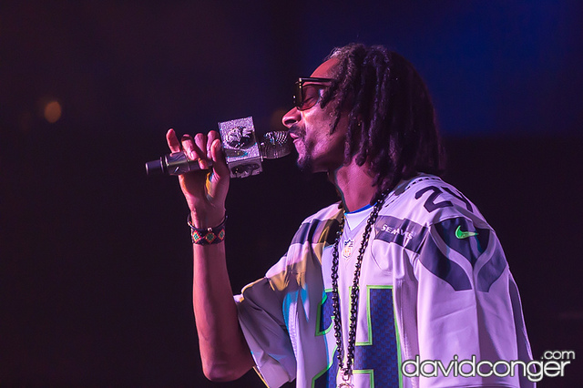 Snoop Lion