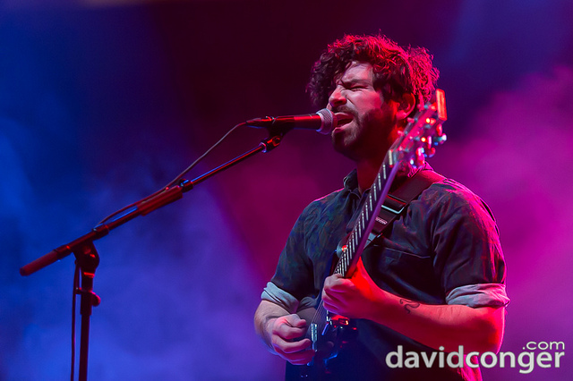 Foals
