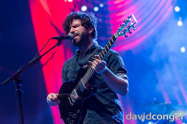 Foals