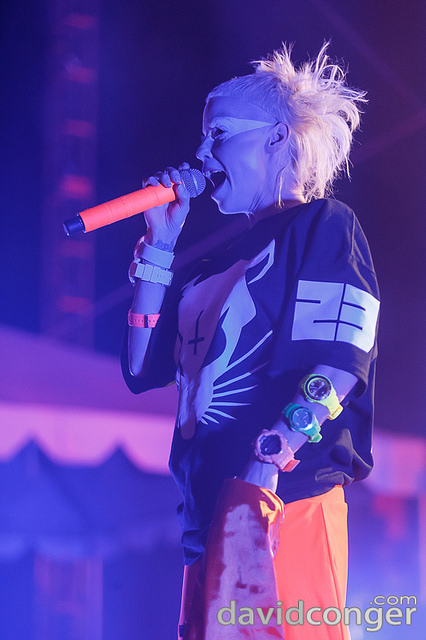 Die Antwoord
