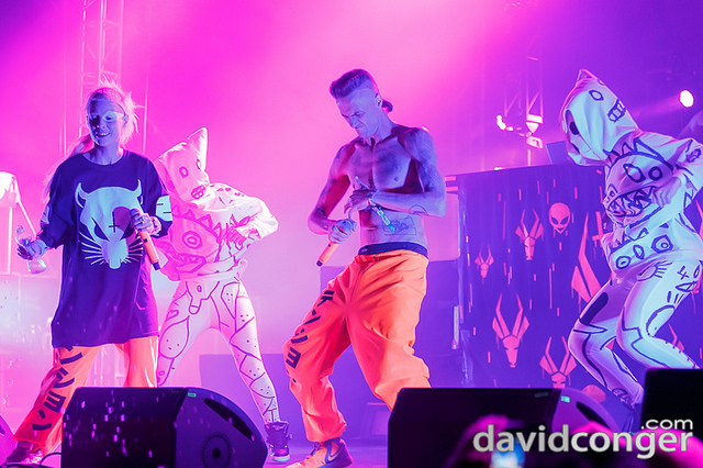 Die Antwoord