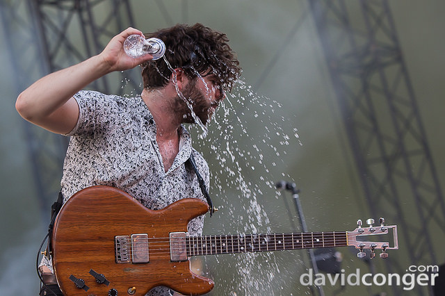Foals