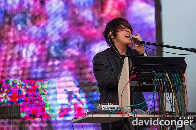Panda Bear