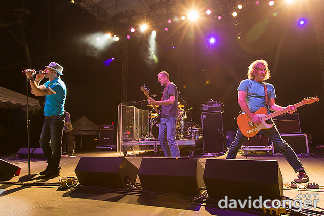Gin Blossoms