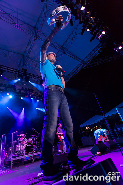 Gin Blossoms