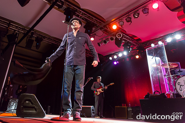 Gin Blossoms