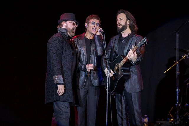 Australian Bee Gees